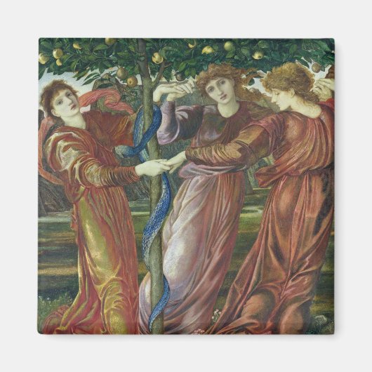 ヘスペリデスの庭， 1869年～73年 マグネット (正面)