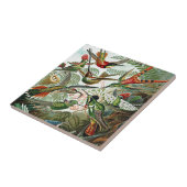 ヘックル自然アートバードデザインハミングバード タイル (側面)