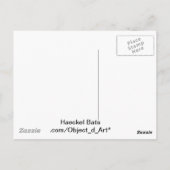 ヘッケルこうもり ポストカード (裏面)