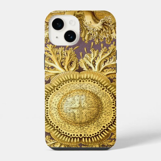 ヘッケルのアールヌーヴォー iPhoneケース (裏面)