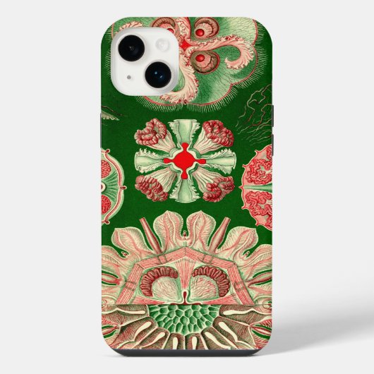 ヘッケルのヴィンテージ風 iPhoneケース (裏面)