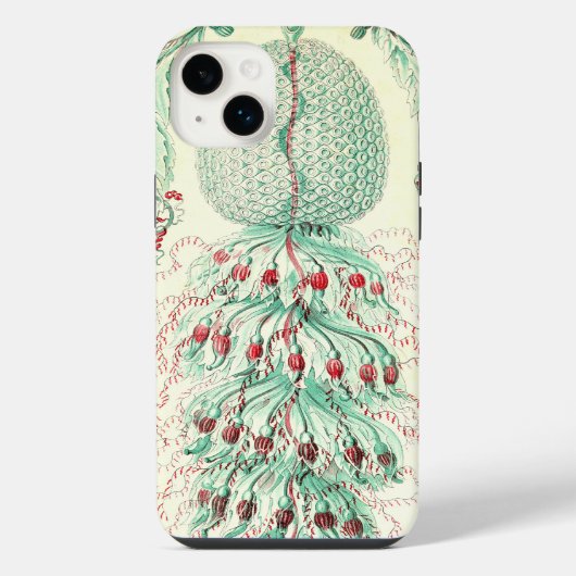 ヘッケルのヴィンテージ風 iPhoneケース (裏面)