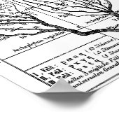 ヘッケルの木 ポスター (角)