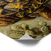 ヘッケルウミガメ ポスター (角)