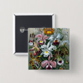 ヘッケルオーキッド勉強イラストレーションボタン 缶バッジ (正面&裏面)