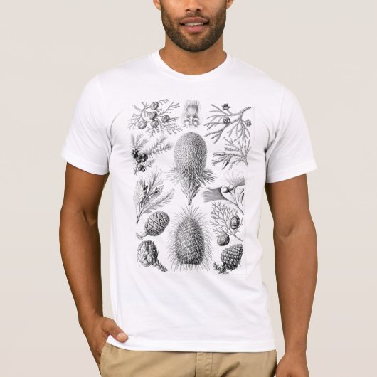 ヘッケルコニファーイラストレーション Tシャツ (正面)