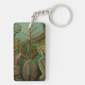 ヘッケルシャートポダ キーホルダー (裏面)