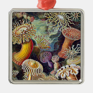 ヘッケルシーアネモネ海絵画寿命 メタルオーナメント