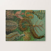 ヘッケルズチェトポダジグソーパズル ジグソーパズル (横)