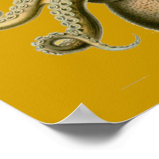 ヘッケルタコ ポスター (角)