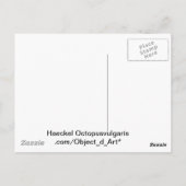 ヘッケルタコ ポストカード (裏面)