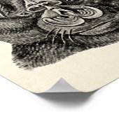 ヘッケルチロプテラ ポスター (角)