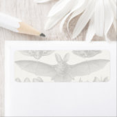 ヘッケルチロプテラ ラベル (インサイチュ)