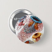 ヘッケルディスコメデス 缶バッジ (正面&裏面)