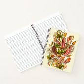 ヘッケルネペンテスピッチャープラントイラストレーション ノートブック (内部)