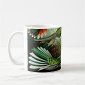 ヘッケルハミングバード コーヒーマグカップ (左)