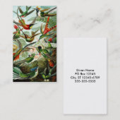 ヘッケルハミングバード 名刺 (正面/裏面)