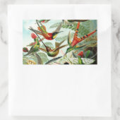 ヘッケルハミングバード 長方形シール (バッグ)