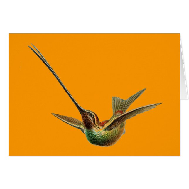 ヘッケルバード (正面横)