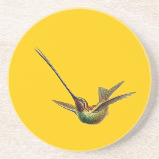 ヘッケルバード コースター (正面)