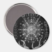 ヘッケルパエオダリア マグネット (正面/裏面)