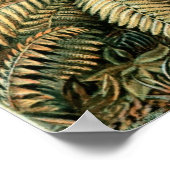 ヘッケルパームツリー ポスター (角)