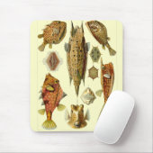 ヘッケルフィッシュ マウスパッド (マウス)