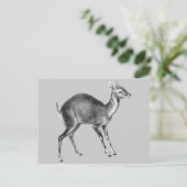 ヘッケルフォーホーンディアー ポストカード (スタンド正面)