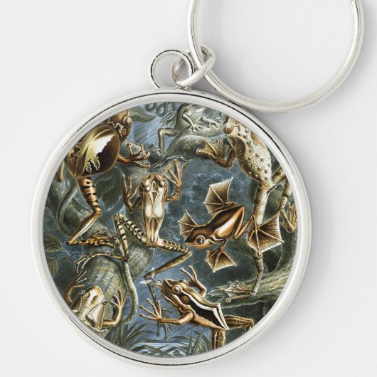 ヘッケルフロッグ キーホルダー (正面)