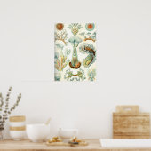 ヘッケルブリョゾア ポスター (キッチン)