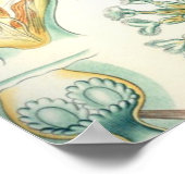 ヘッケルブリョゾア ポスター (角)