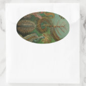 ヘッケルムカデス 楕円形シール (バッグ)