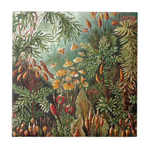 ヘッケルモスグラスマッシュ絵画ルームズ タイル