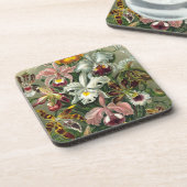 ヘッケルラン コースター (左側)