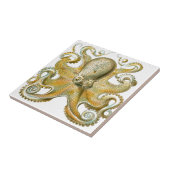 ヘッケル作の美しいタコ写真 タイル (側面)