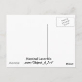 ヘッケル爬虫類 ポストカード (裏面)