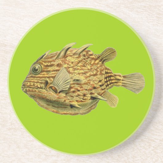 ヘッケル 魚 コースター (正面)