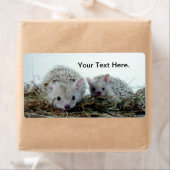 ヘッジホグズアズペット ラベル (インサイチュ)