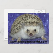ヘッジホグワールド葉書 ポストカード (正面/裏面)