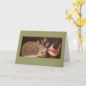 ヘッジホッグとカロライナのウォレンカード カード (黄色い花)