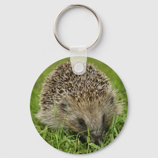 ヘッジホッグのキーチェーン キーホルダー (正面)