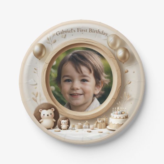 ヘッジホッグのフォトフレーム子供への誕生日パーティー ペーパープレート (正面)