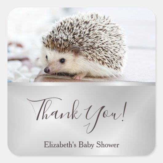 ヘッジホッグの写真 |シルバーサンキュー スクエアシール (正面)