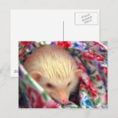 ヘッジホッグの絵はがき ポストカード (正面/裏面)