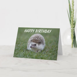 ヘッジホッグの誕生日カード カード