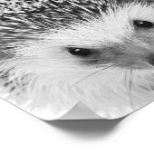 ヘッジホッグウッドランドキッズルームデコル ポスター (角)