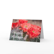 ヘッジホッグサボツハッピーホリデー