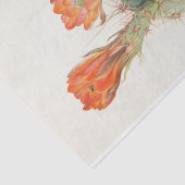 ヘッジホッグサボテンbyマーガレット・アームストロング 薄葉紙 (詳細)