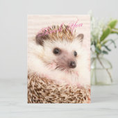 ヘッジホッグサンキューカード サンキューカード (スタンド正面)