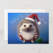 ヘッジホッグサンタクロース葉書 ポストカード (正面/裏面)